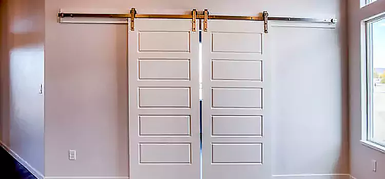 Glass Barn Door with Installation Hardware Kit Coronado