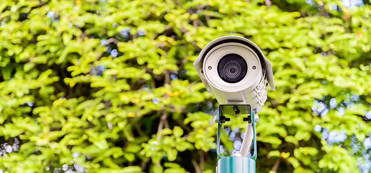 Advanced Surveillance Solutions for Every Need in Coronado