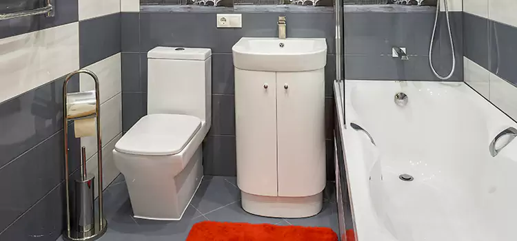 Hansgrohe Shaving Mirror Coronado